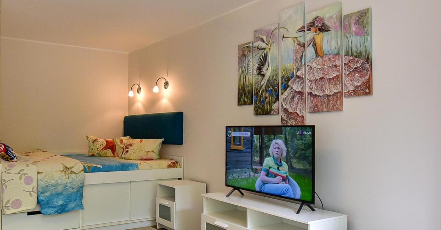 Stilingi Apartamentai Su Virtuve Traku Miesto Centre Trakai Exterior foto
